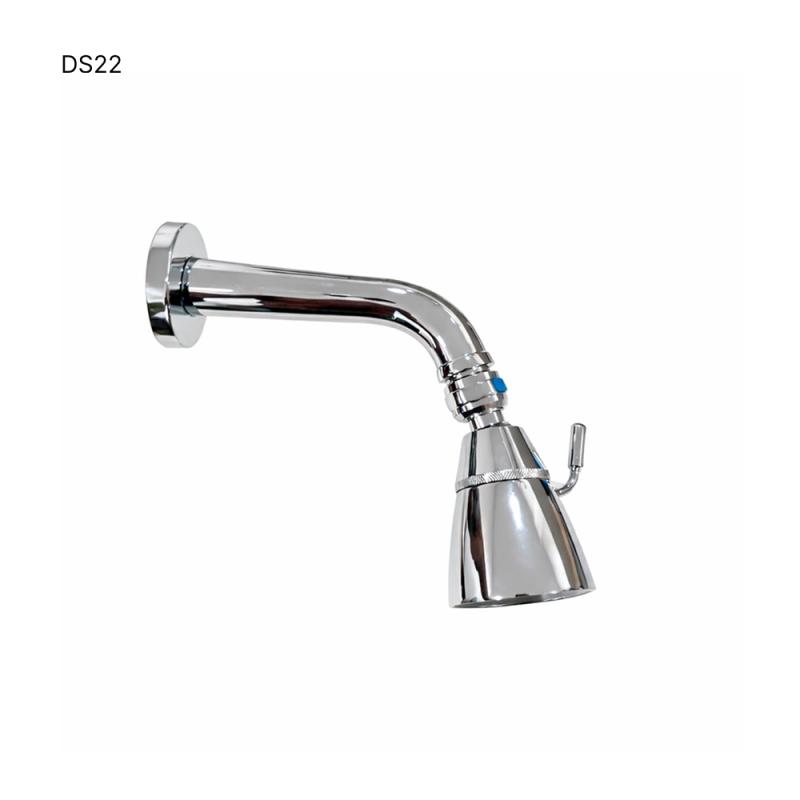 Head Shower - DS22 (IP)