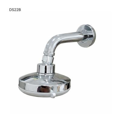 Head Shower - DS22B (IP)